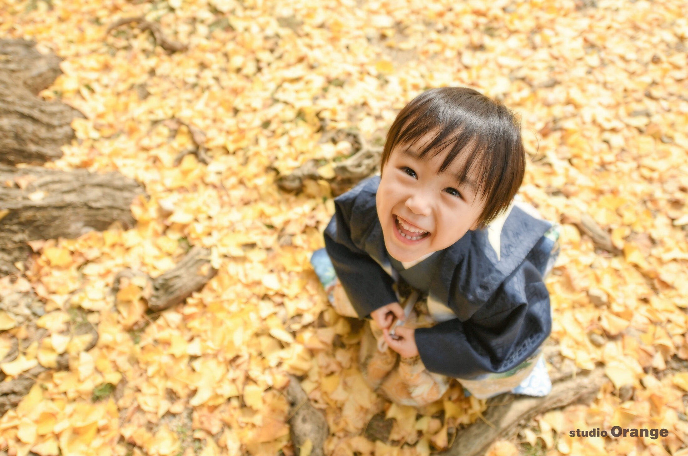 紅葉の名所、手向山八幡宮で七五三出張撮影